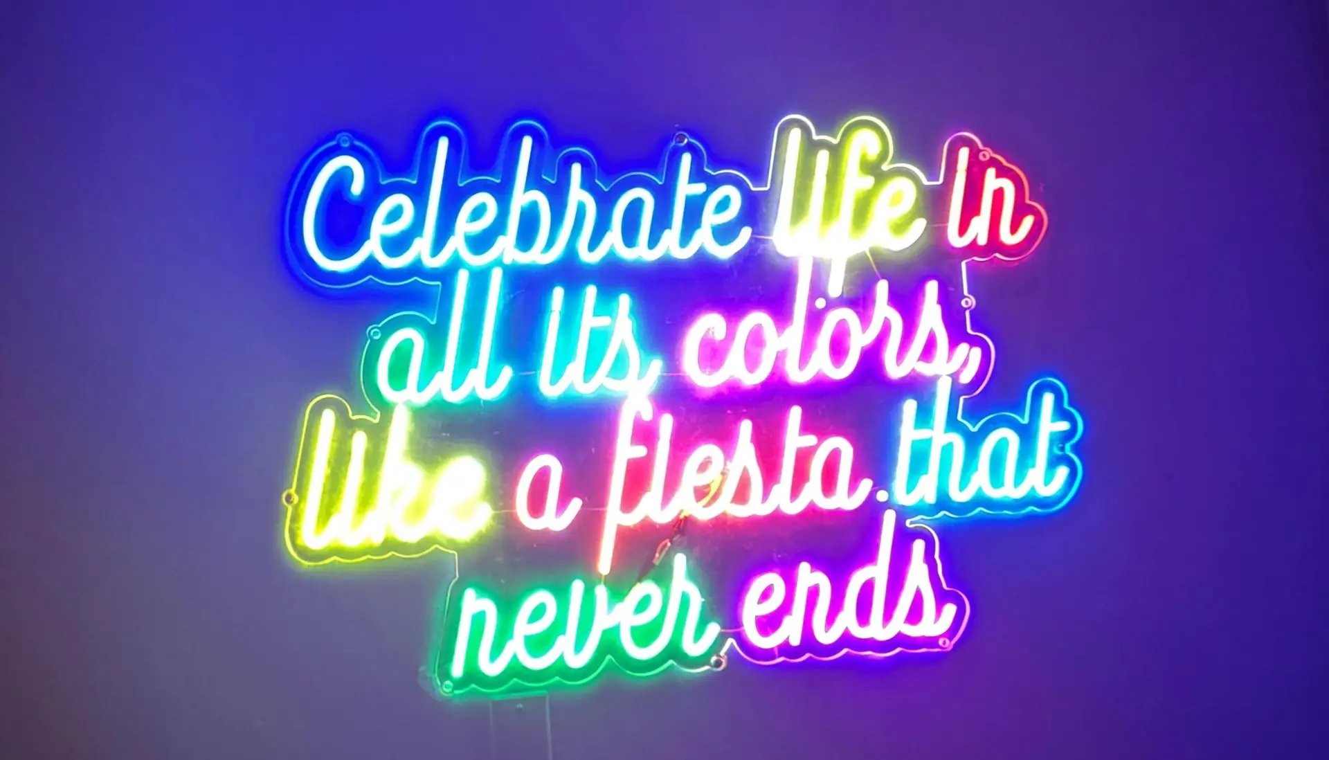 Neon rainbow-colored text on a purple wall reading “Celebrate life in all its colors, like a fiesta that never ends.”